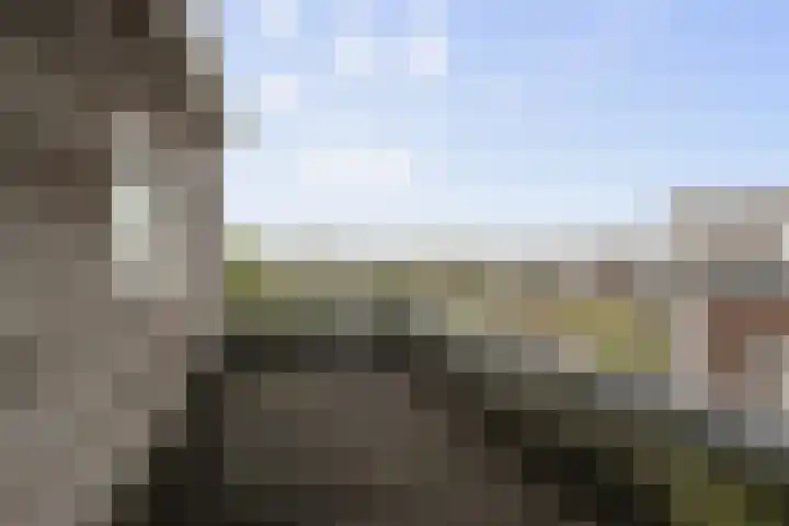 Malzwin 2431 Julianadorp thumbnail 25