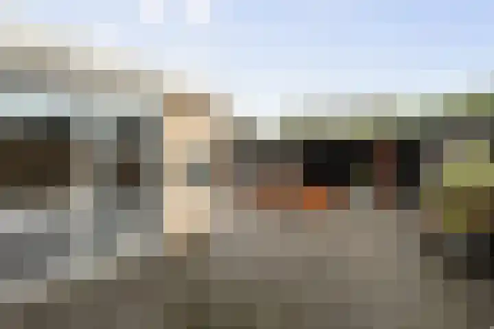 Malzwin 2431 Julianadorp thumbnail 27