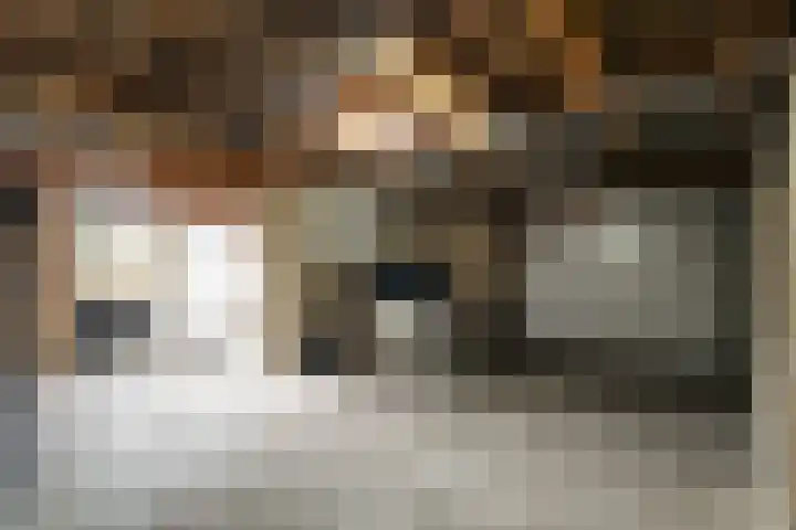 Malzwin 2431 Julianadorp thumbnail 30