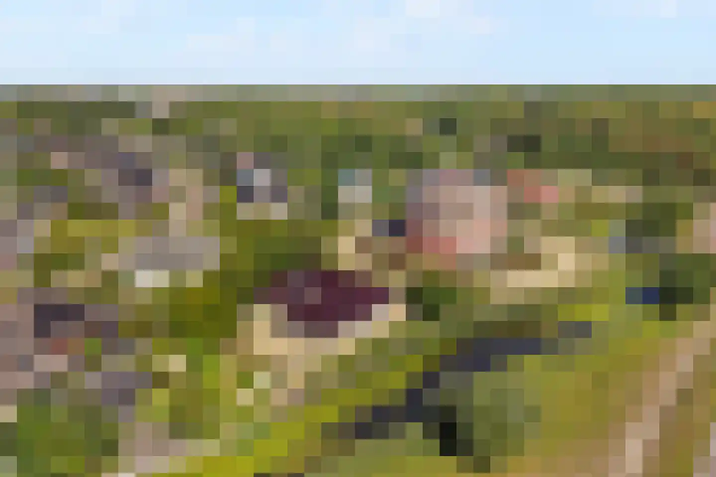 Malzwin 2516 Julianadorp thumbnail 10