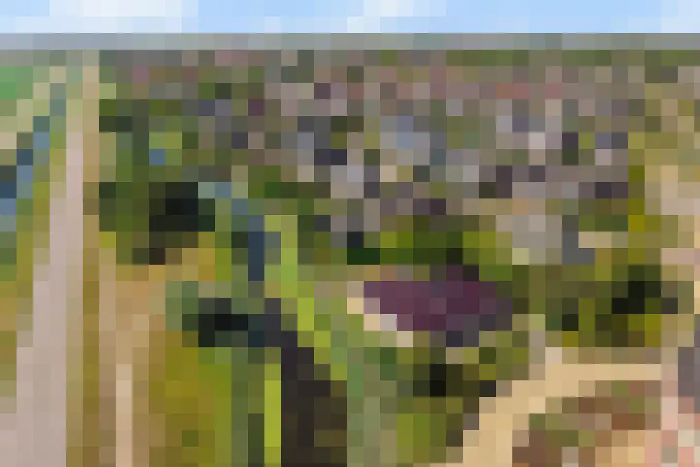 Malzwin 2516 Julianadorp thumbnail 11
