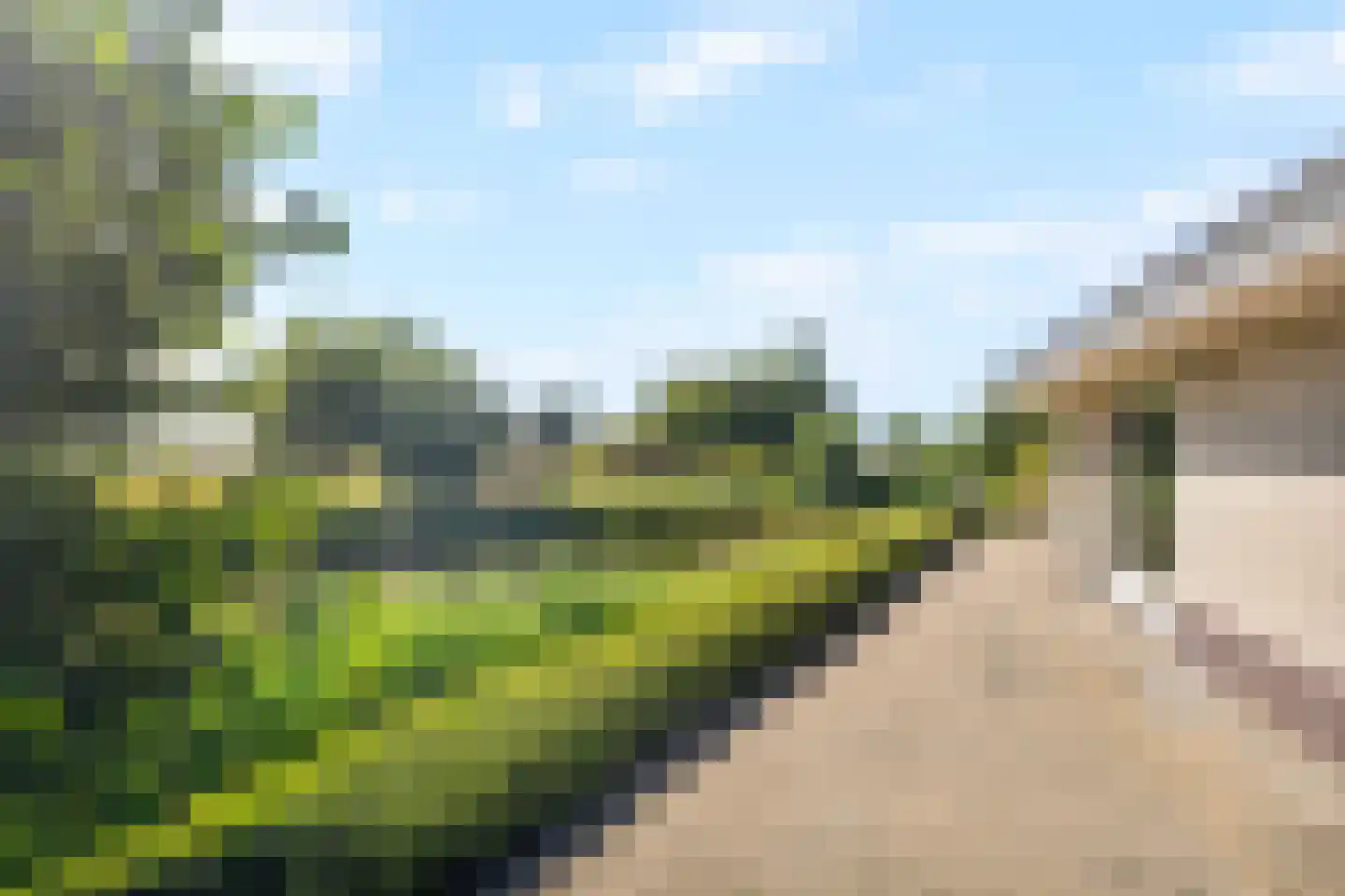 Malzwin 2516 Julianadorp thumbnail 15