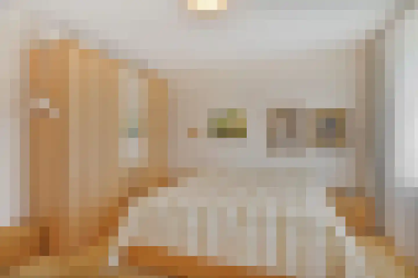 Malzwin 2516 Julianadorp thumbnail 30