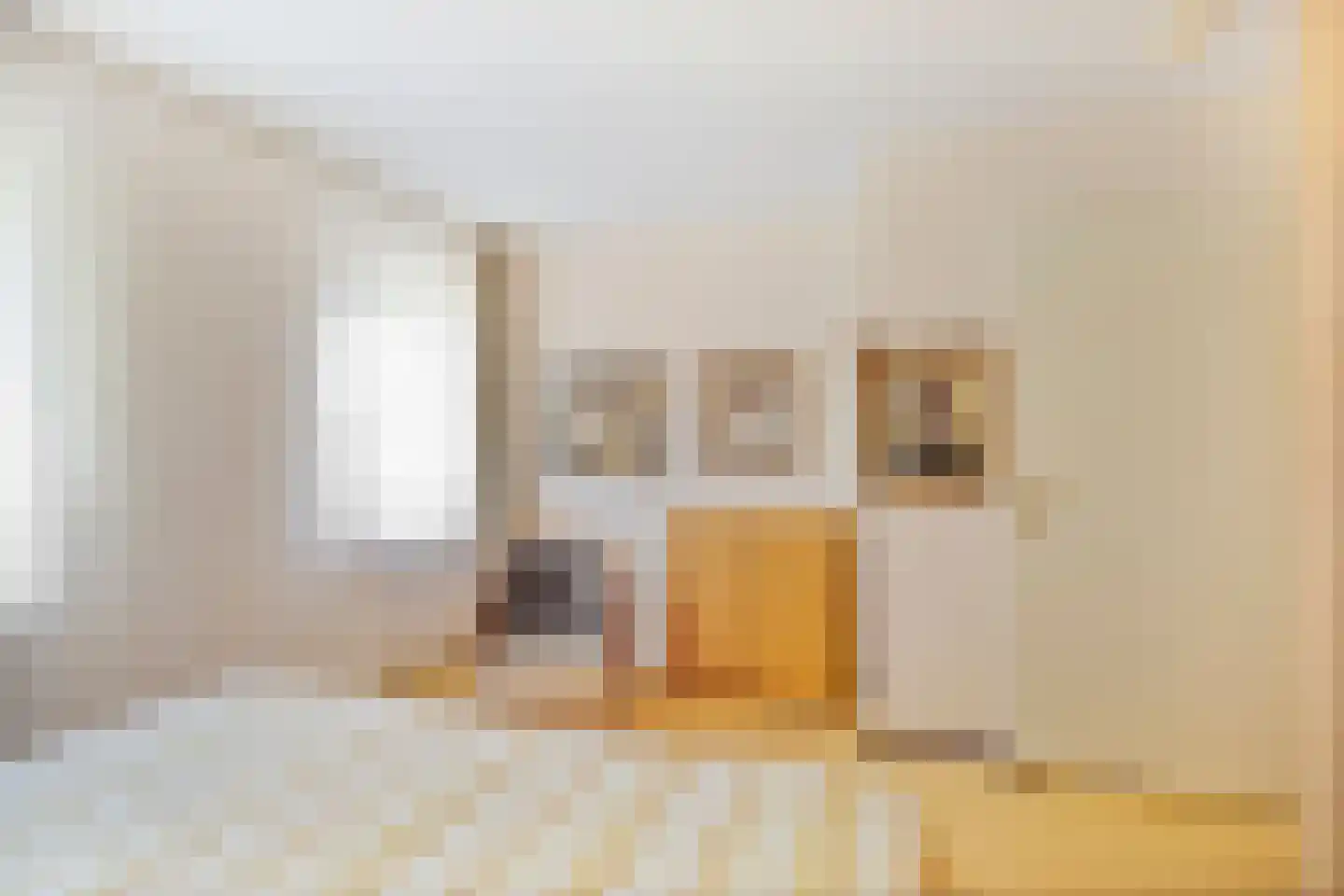 Malzwin 2516 Julianadorp thumbnail 31
