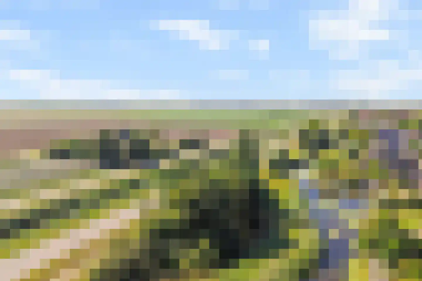 Malzwin 2516 Julianadorp thumbnail 9