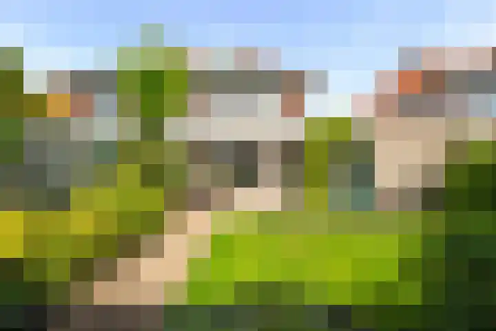 Malzwin 2634 Julianadorp thumbnail 6