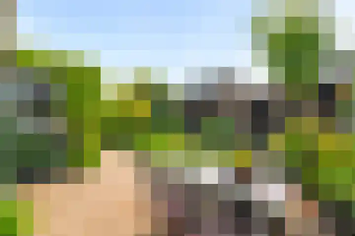 Malzwin 2634 Julianadorp thumbnail 7