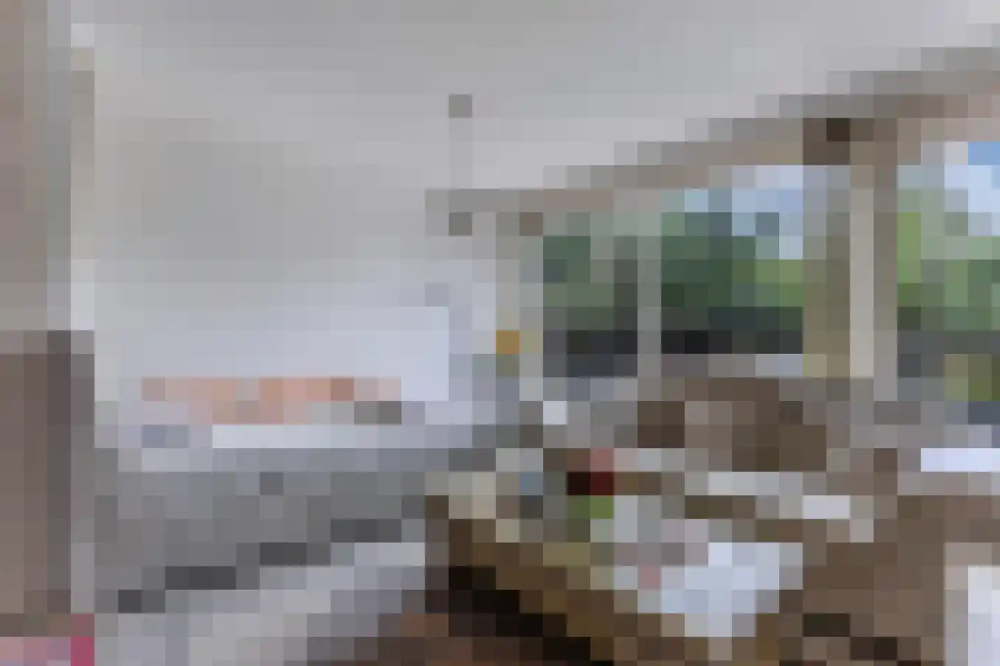Malzwin 29 Lelystad thumbnail 19