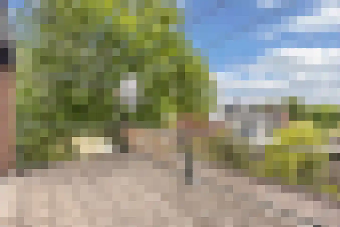 Malzwin 29 Lelystad thumbnail 47