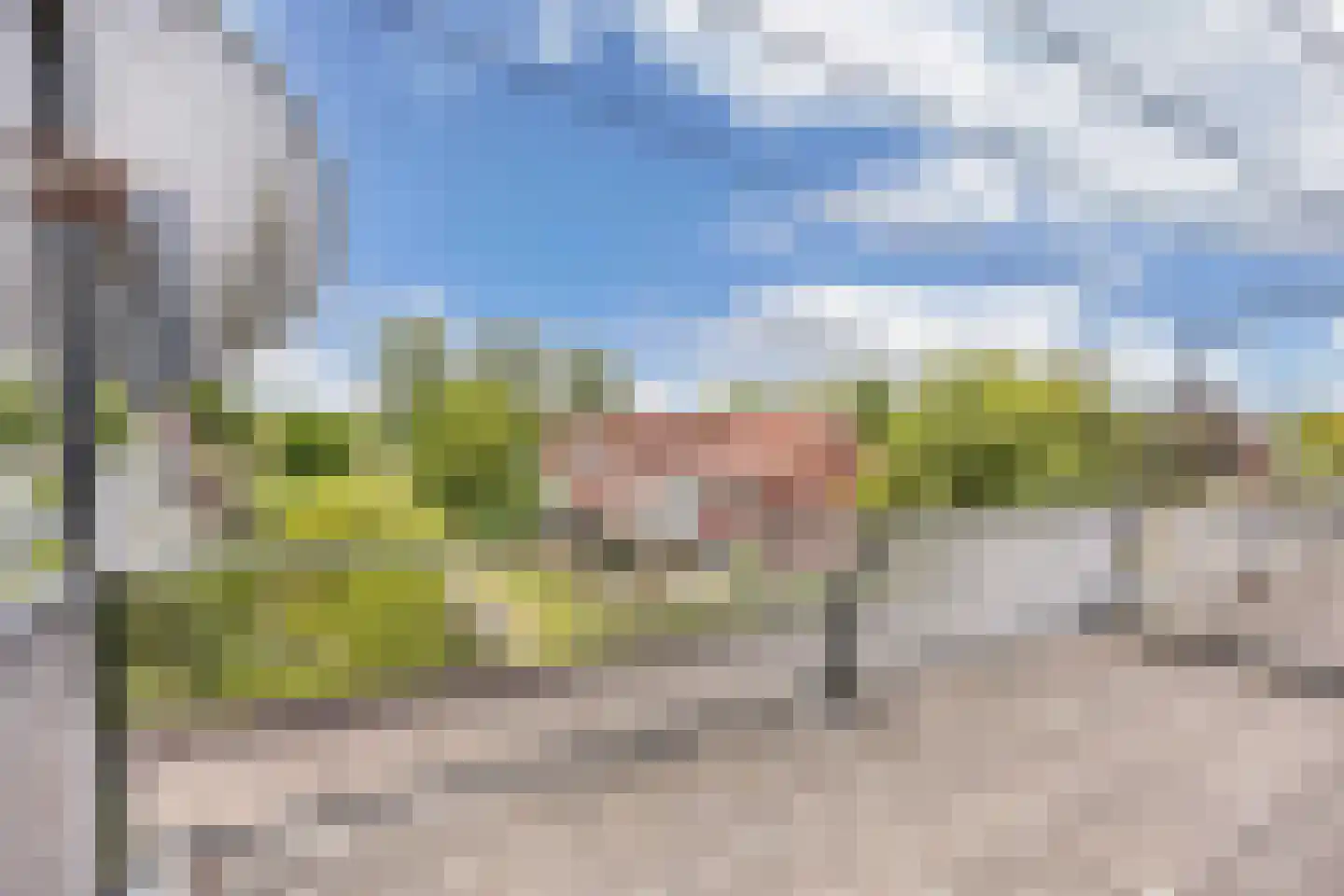 Malzwin 29 Lelystad thumbnail 48
