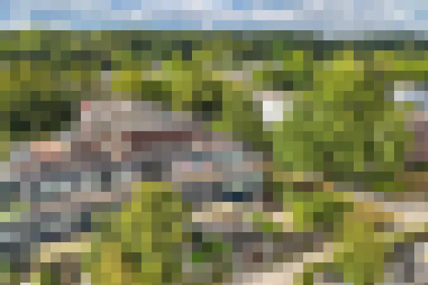 Malzwin 29 Lelystad thumbnail 70