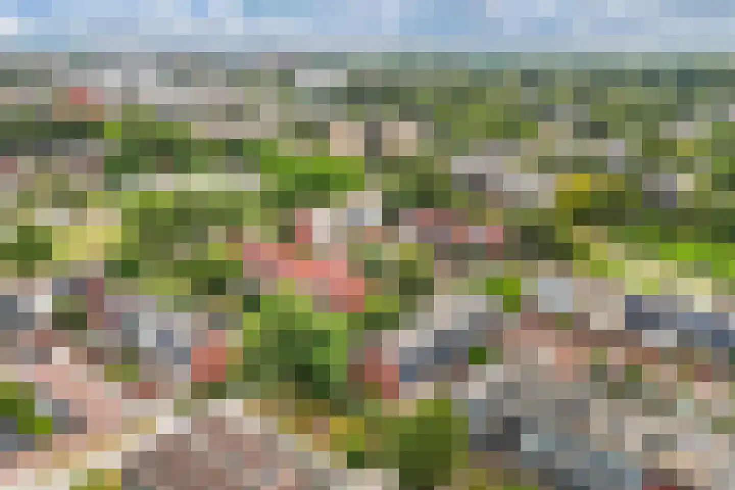 Malzwin 29 Lelystad thumbnail 72