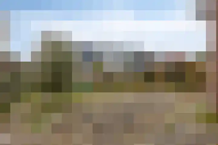 Malzwin 36 Lelystad thumbnail 27