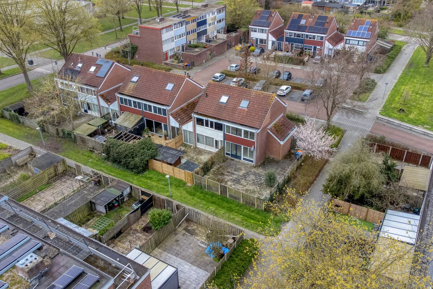 Malzwin 36 Lelystad foto 3