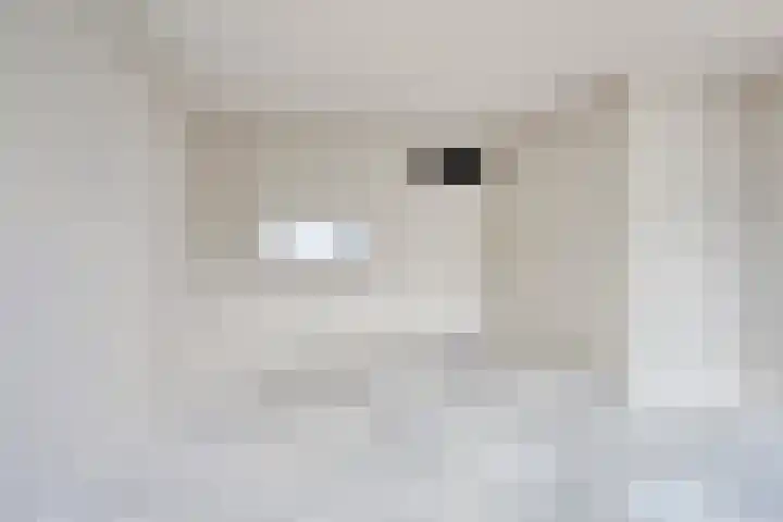 Malzwin 36 Lelystad thumbnail 8