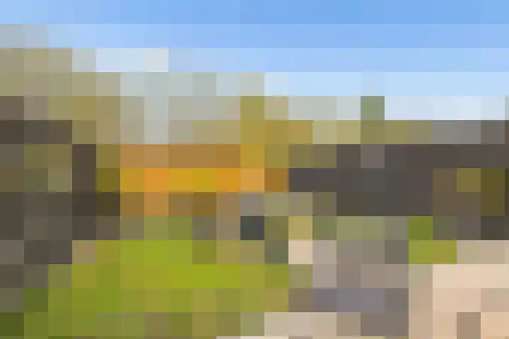 Malzwin 9 Lelystad thumbnail 38