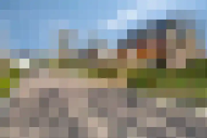 Malzwin 9 Lelystad thumbnail 48