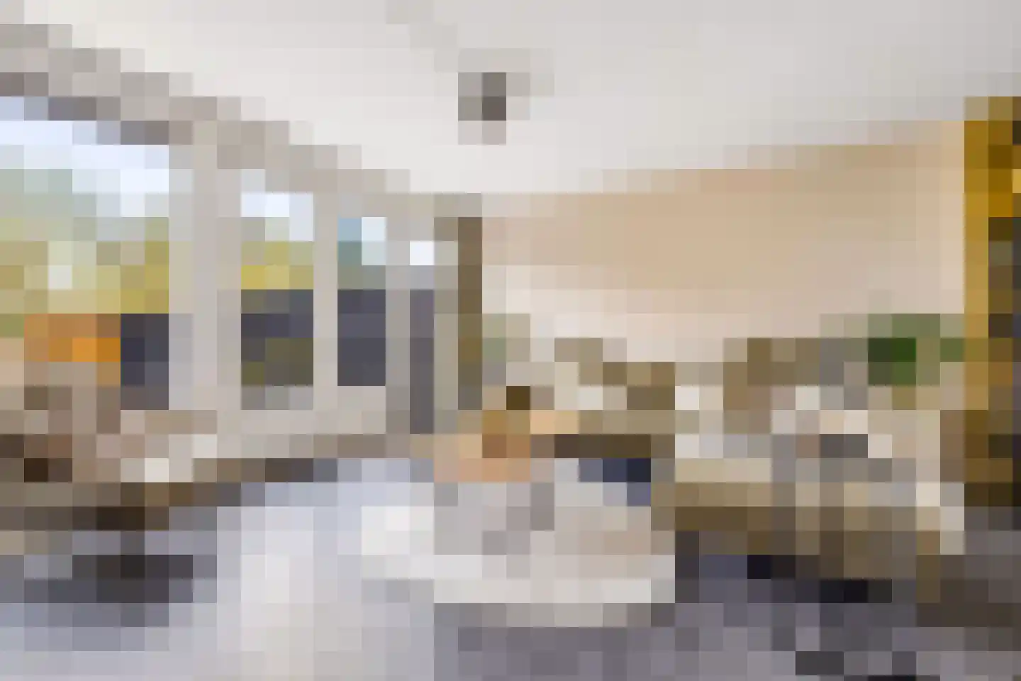 Malzwin 9 Lelystad thumbnail 8