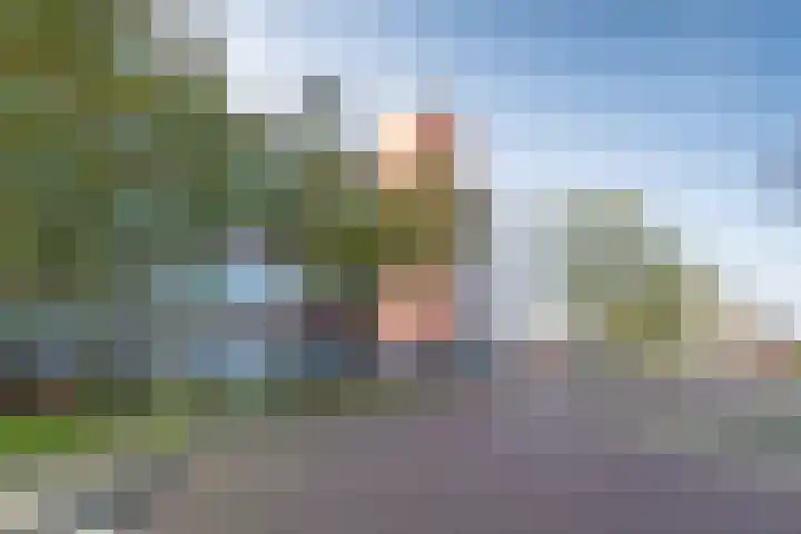 Malzwin 9 Lelystad thumbnail 8