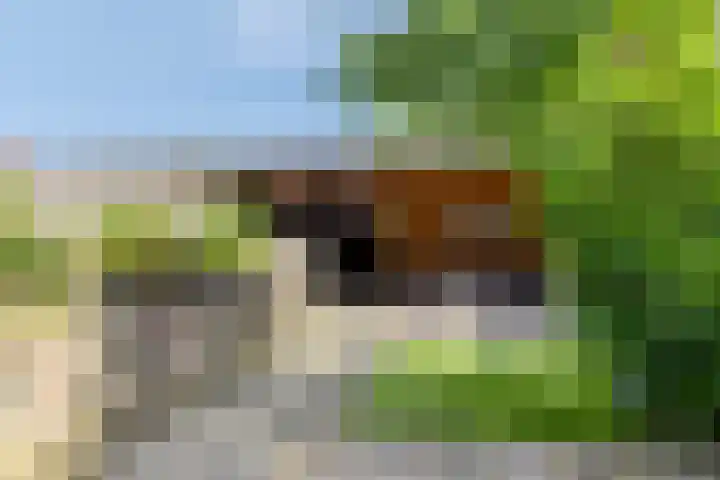 Mambo 21 Nieuw-Vennep thumbnail 13
