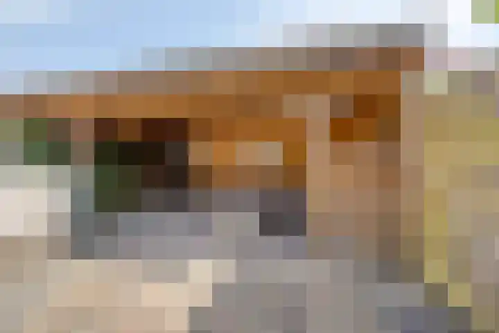 Mambo 21 Nieuw-Vennep thumbnail 15