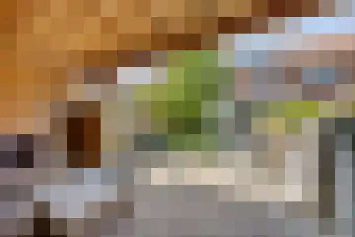 Mambo 21 Nieuw-Vennep thumbnail 16