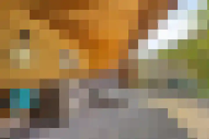 Mambo 21 Nieuw-Vennep thumbnail 17