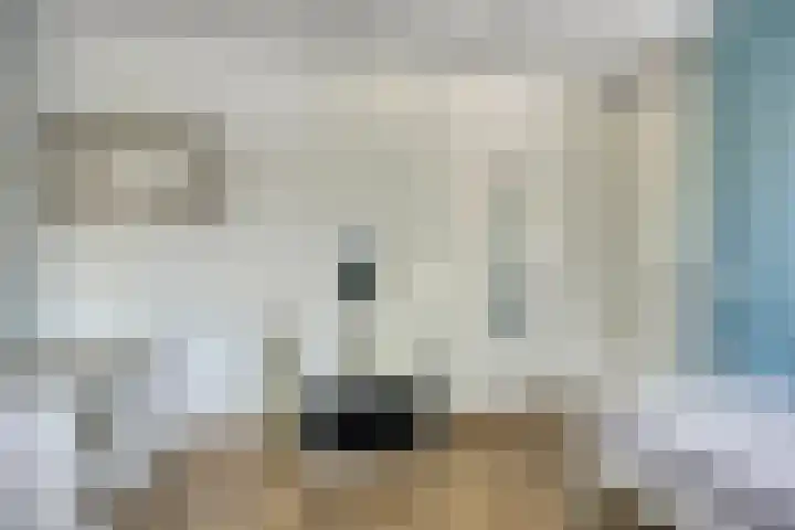 Mambo 21 Nieuw-Vennep thumbnail 22
