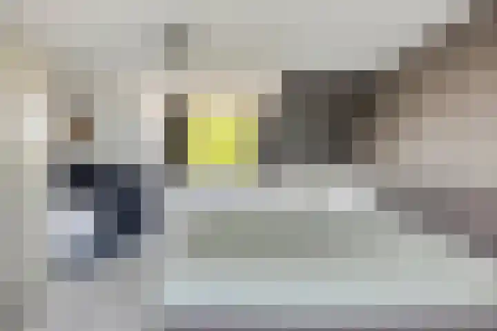 Mambo 21 Nieuw-Vennep thumbnail 29