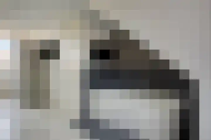 Mambo 21 Nieuw-Vennep thumbnail 30