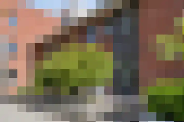 Mambo 21 Nieuw-Vennep thumbnail 32