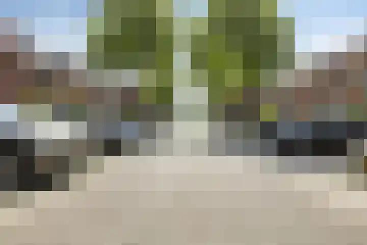 Mambo 21 Nieuw-Vennep thumbnail 34
