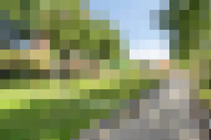 Mambo 21 Nieuw-Vennep thumbnail 35