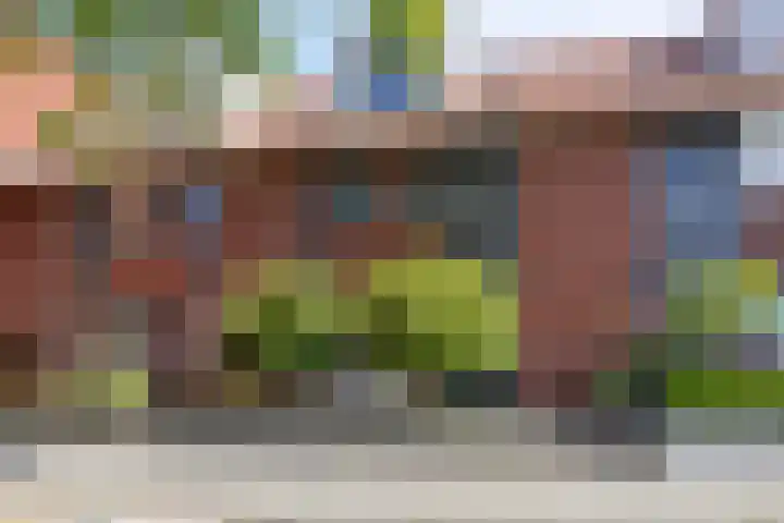 Mambo 21 Nieuw-Vennep thumbnail 41
