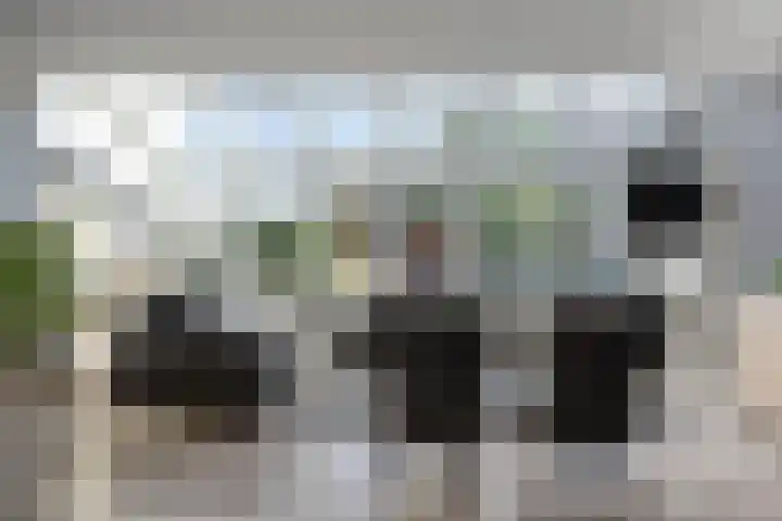 Mambo 21 Nieuw-Vennep thumbnail 9
