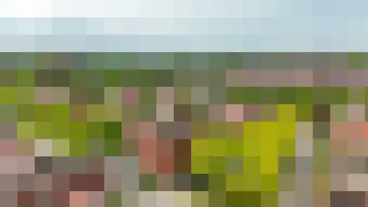 Mambo 44 Nieuw-Vennep thumbnail 27