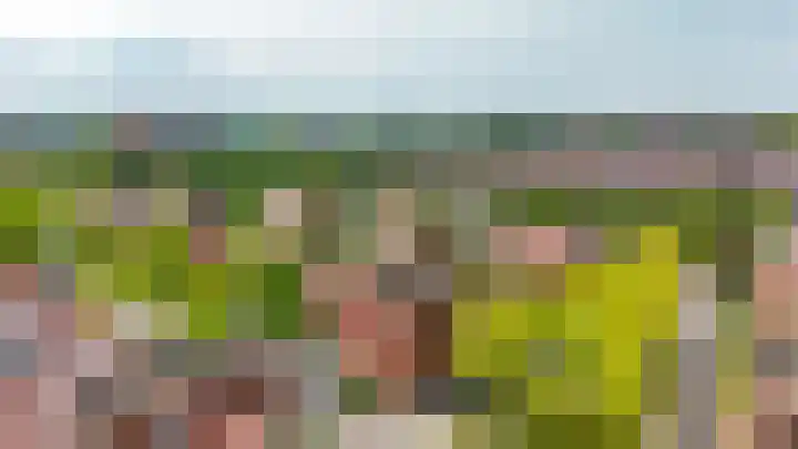 Mambo 44 Nieuw-Vennep thumbnail 28