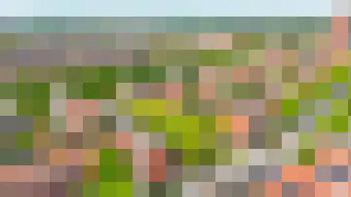 Mambo 44 Nieuw-Vennep thumbnail 30
