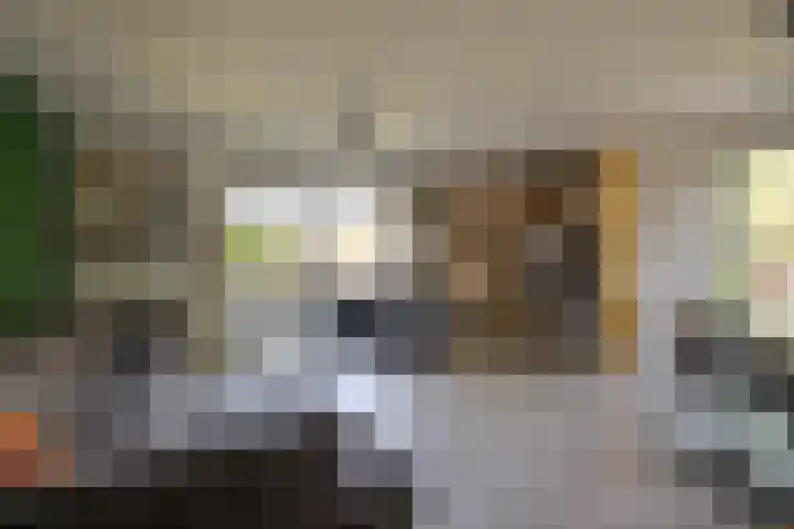 Mambo 44 Nieuw-Vennep thumbnail 4