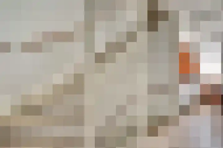 Mambohof 13 Apeldoorn thumbnail 20