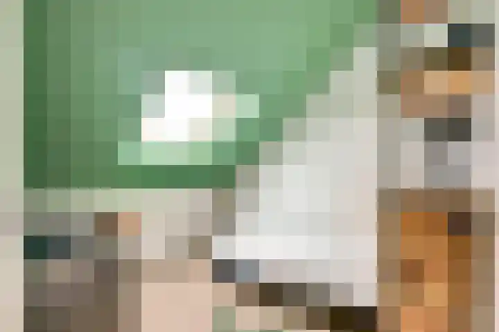 Mambohof 13 Apeldoorn thumbnail 24