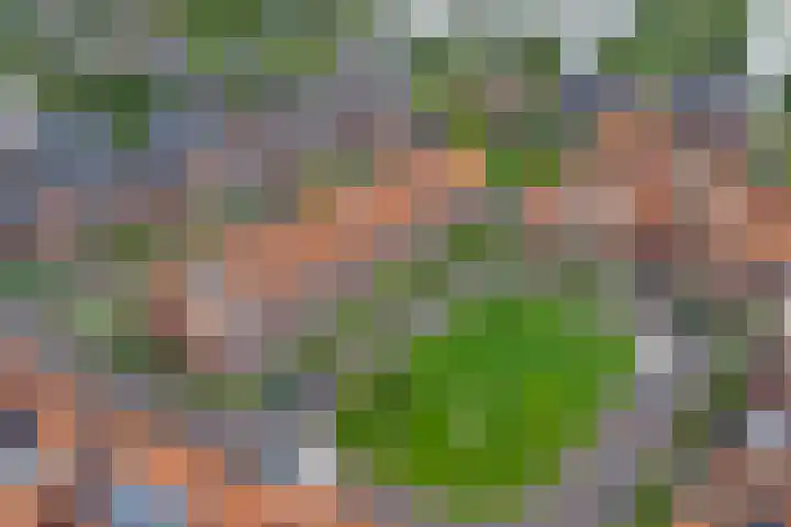 Mambohof 13 Apeldoorn thumbnail 36
