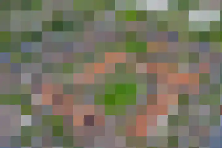 Mambohof 13 Apeldoorn thumbnail 37