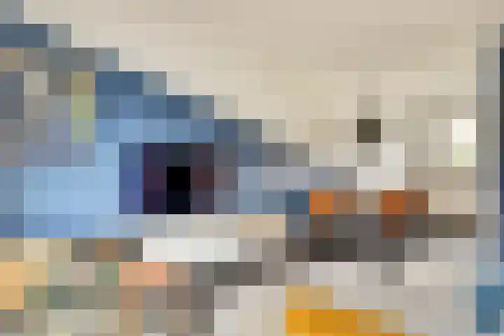 Mambohof 13 Apeldoorn thumbnail 7