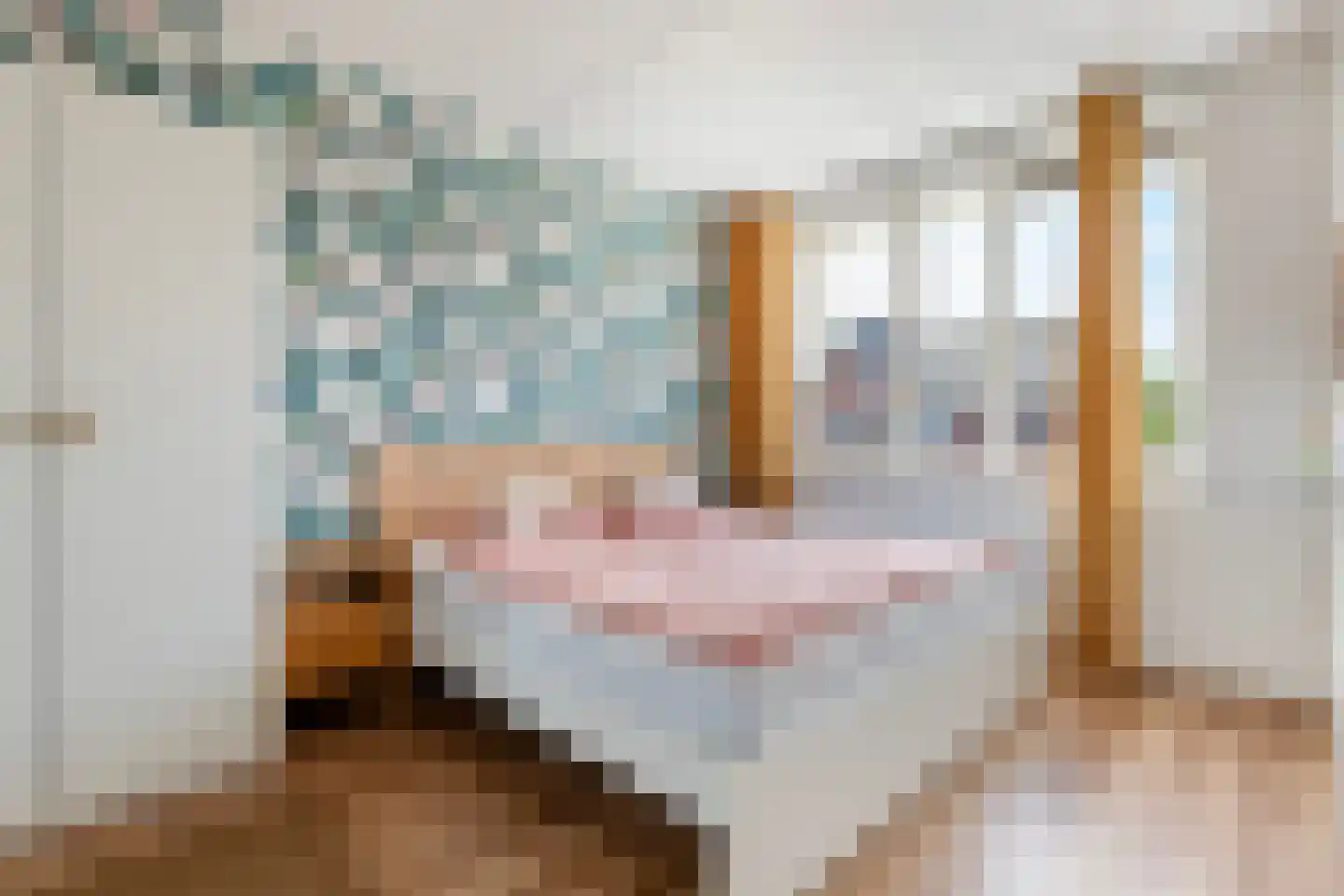 Mambohof 15 Apeldoorn thumbnail 16