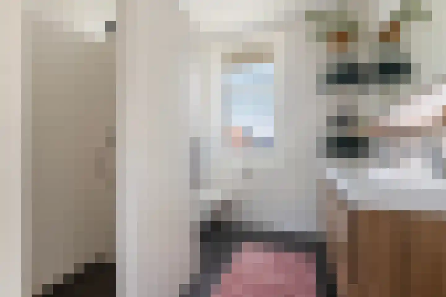 Mambohof 15 Apeldoorn thumbnail 20
