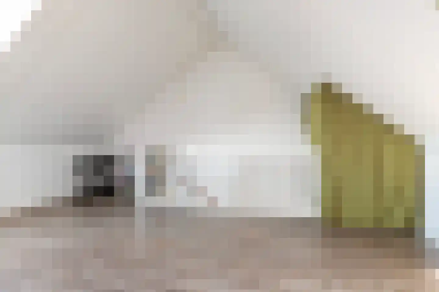 Mambohof 15 Apeldoorn thumbnail 22