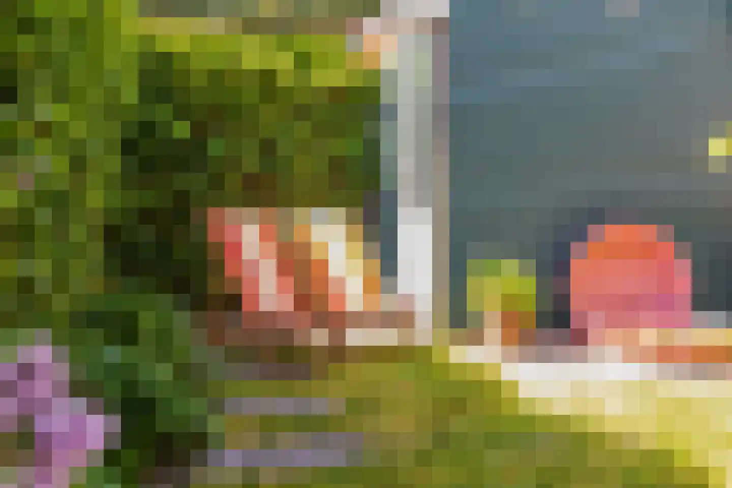 Mambohof 15 Apeldoorn thumbnail 27