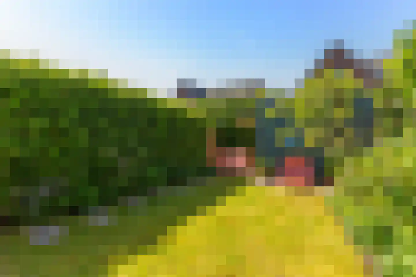 Mambohof 15 Apeldoorn thumbnail 28