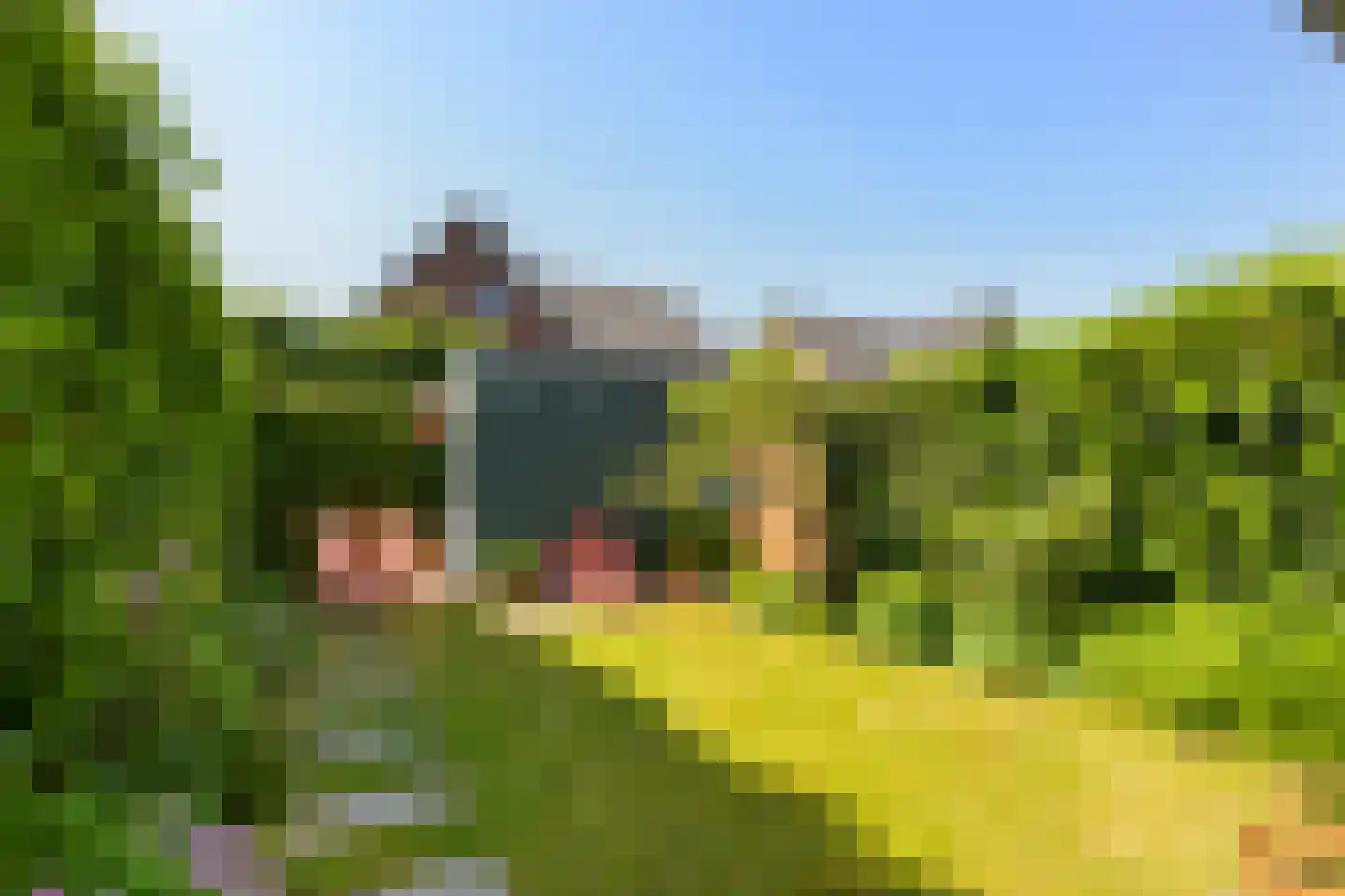 Mambohof 15 Apeldoorn thumbnail 29
